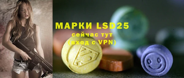 спайс Алзамай