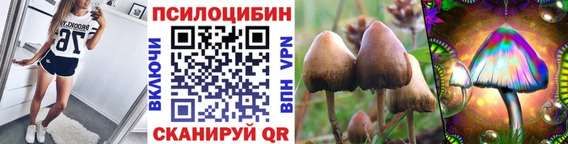 Галлюциногенные грибы Cubensis  где купить наркоту  Ермолино 